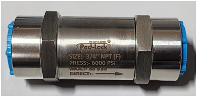 SS Check Valves Manufacturer